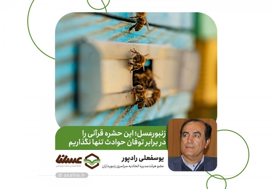 رادپور، عضو هیئت‌مدیره اتحادیه سراسری زنبورداران، تأکید کرد: