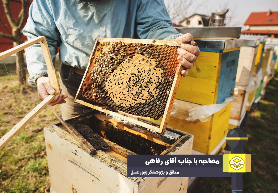 «بهزاد رفاهی» محقق و پژوهشگر زنبور عسل