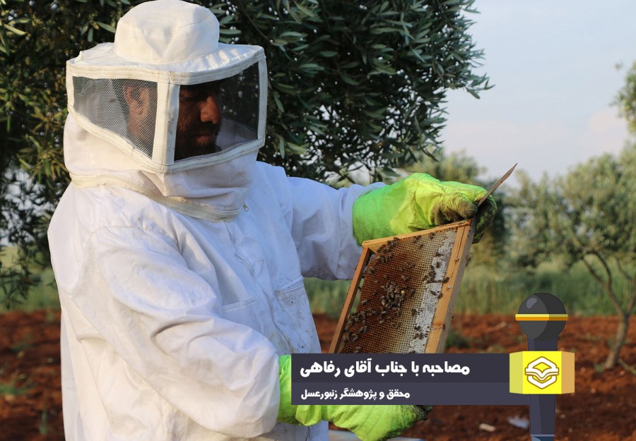 چالش‌های پیش روی صادرات عسل ایران