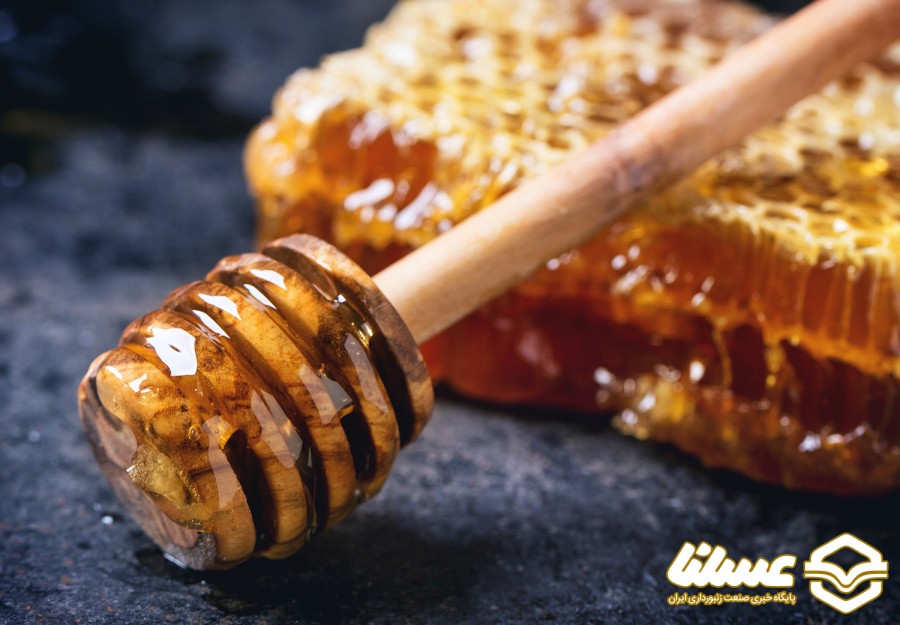 وقت آن رسیده کیفیت عسل زنبورستان خود را افزایش دهید!