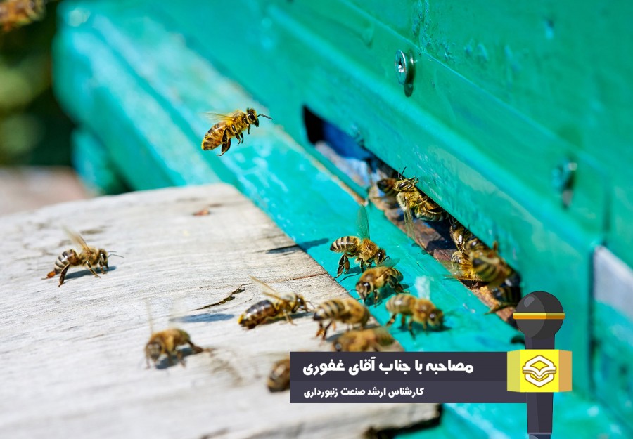 روش‌های مقابله با کنه واروا در گفتگو با کارشناس ارشد زنبورعسل