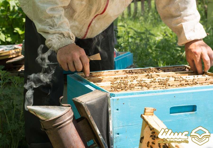 تولید بیش از 3 هزار تن عسل در مراغه طی سال 98