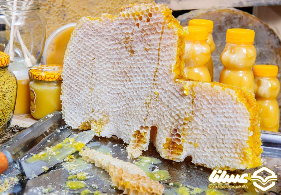 نکاتی که باید برای فروش عمده عسل طبیعی بدانید