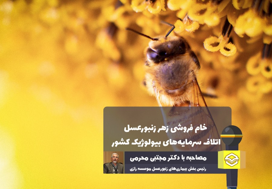 رئیس بخش تحقیق و تشخیص بیماری‌های زنبورعسل موسسه رازی در گفتگو اختصاصی با عسلنا