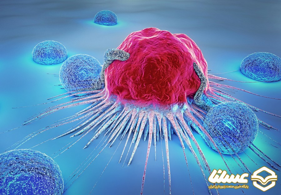 چرا بره موم یک ماده ضد تومور است؟