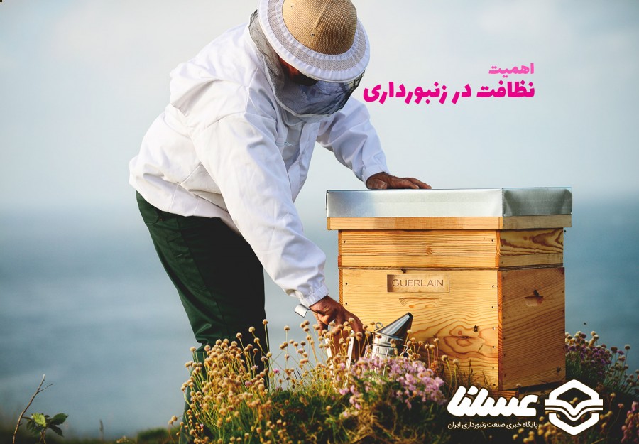 اهمیت نظافت در زنبورداری