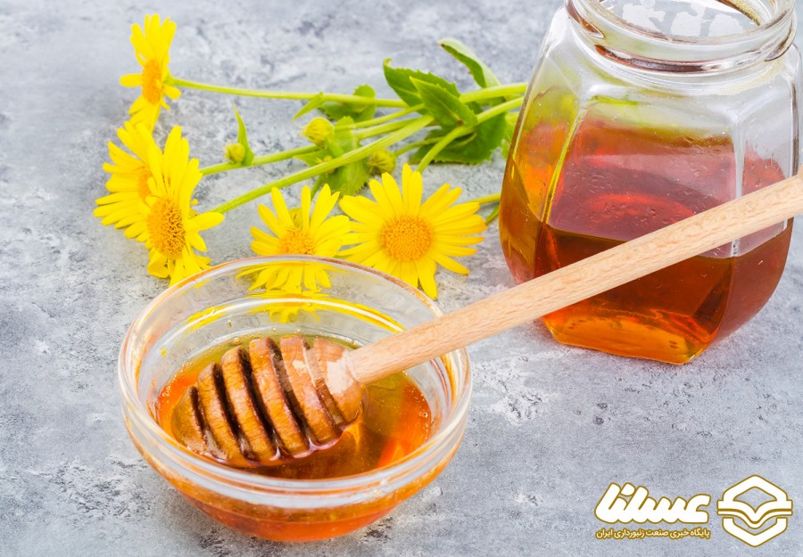پیش‌بینی افزایش ۳۰ درصدی تولید عسل در فامنین