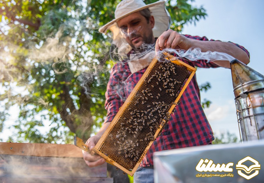پیش‌بینی برداشت ۱۰۰ تن عسل در شهرستان بردسکن