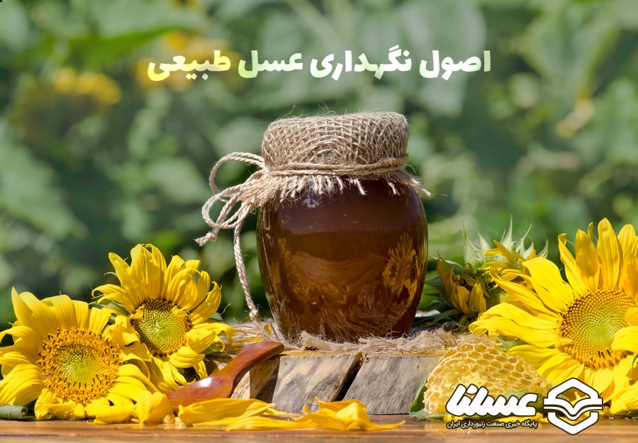 6 نکته طلایی برای نگهداری عسل طبیعی