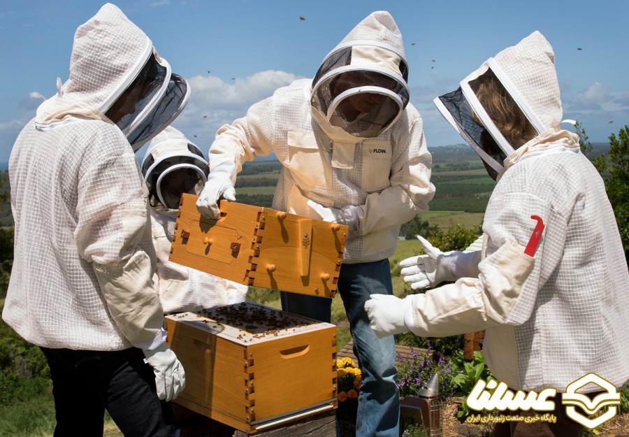 مجوز استقرار ۲۷ هزار کندوی زنبور عسل در چالدران صادر شد