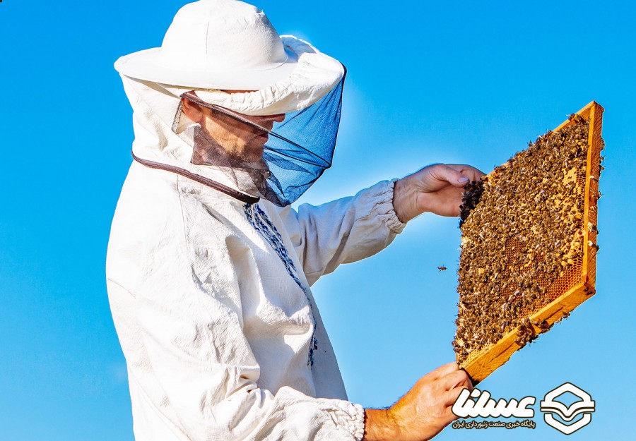 احتمالا 80 تن عسل از شهرستان دلفان برداشت می شود