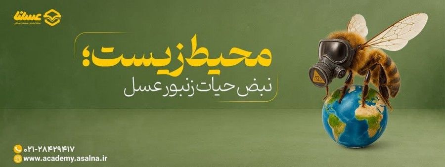 زنبور عسل