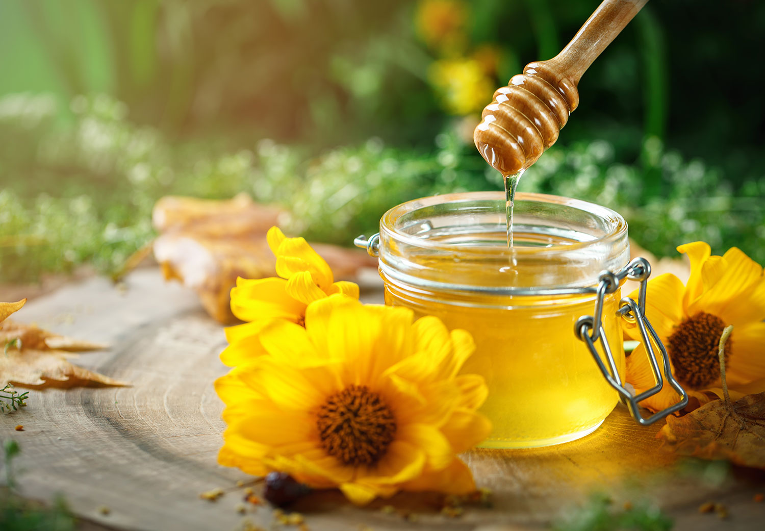 عسلنا - عسل تک گل چیست؟ آنچه باید در مورد انواع عسل بدانید