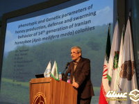دکتر غلام حسین طهماسبی