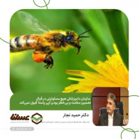 سازمان دامپزشکی هیچ مسئولیتی در قبال تضمین سلامت و بی‌خطر بودن آپی پاستا قبول نمی‌کند/ وظیفه ما بررسی آلودگی‌های میکروبی و قارچی طبق پروتکل سازمان است