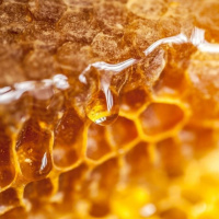 مروری بر ترکیبات مهم عسل و نقش آن در سلامت دهان و دندان