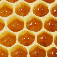 مقاله بررسی ساختار معماری خانه زنبور عسل ، بعنوان الگوی مناسب برای طراحی معماری آرمانشهر ایرانی