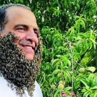 یک مرد عرب با نگهداری 240 هزار زنبور روی صورتش رکورد زد