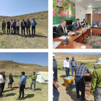 برگزاری اولین کلینیک سیار خوشه عسل در نورآباد لرستان برای زنبورداران