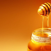 مقاله پژوهشگر ایرانی با موضوع نقش عسل تقلبی بر سیستم ایمنی بدن در همایش کره جنوبی پذیرفته شد