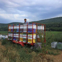 کوچ بیش از 65 درصد از زنبورداران استان اردبیل به مناطق گرمسیری شمال و جنوب کشور