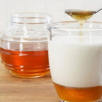 شیر و عسل ؛ منبع غنی از پروبیوتیک برای بهبود عملکرد دستگاه گوارش
