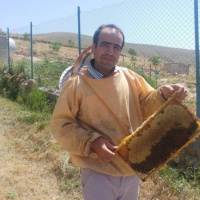متابولیسم اُپتیمایزر مواد معدنی و آلی را برای زنبور عسل بهینه سازی می کند