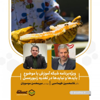 موسویان: زنبورعسل به‌عنوان یک نهاده زنده در بخش کشاورزی است | طهماسبی: سم‌پاشی‌های بی‌رویه و داروهای غیرمجاز باید کنترل شود