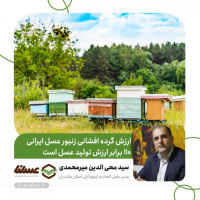 ستادهای گرده افشانی در استان ها احیا شود/ ارزش گرده افشانی زنبور عسل ایرانی 110 برابر ارزش تولید عسل است