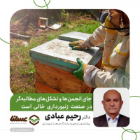 دکتر رحیم عبادی: وزارت جهاد کشاورزی به برنامه راهبردی کلان برای توسعه زنبورداری نیاز دارد/ جای انجمن‌ها و تشکل های مطالبه‌گر در صنعت زنبورداری خالی است