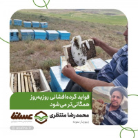 ساعتی با محمدرضا منتظری زنبوردار نمونه استان اصفهان