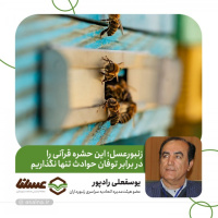 زنبورعسل؛ این حشره قرآنی را در برابر توفان حوادث تنها نگذاریم