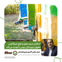استقرار بدون مجوز و کوچ غیرقانونی حقوق زنبورداران بومی را تهدید می‌کند