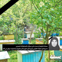 مدیرعامل شرکت تعاونی زنبورداران شهرستان چایپاره درگذشت