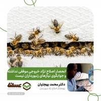 بهجتیان: انحصار اصلاح نژاد خروجی موفقی نداشته و جوابگوی نیازهای زنبورداران نیست