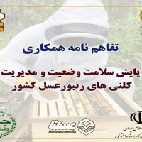 دعوت از عموم زنبورداران برای مشارکت در طرح پایش سلامت کلنی‌های کشور