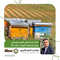 دلایل عدم اجرای سرشماری زنبورستان‌های کشور در سال 1400