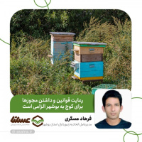 عسگری: زنبورداران با برنامه‌ریزی و مطالعه شرایط بعد از هماهنگی با تشکل‌ها کوچ کنند/ رعایت قوانین و داشتن مجوزها برای کوچ به بوشهر الزامی است