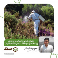 چگونه یک کوچ اصولی و حرفه‌ای و با مخاطرات و تلفات کمتر داشته باشیم؟