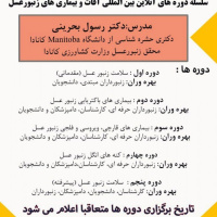 دوره‌های آنلاین بیماری‌ها و آفات زنبورعسل با استاندارد جهانی برگزار می‌شود