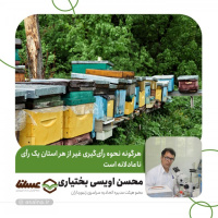 اویسی: موافق تصمیم یا پیشنهاد تغییر نحوه انتخابات نیستم/ هرگونه نحوه رأی‌گیری غیر از هر استان یک رأی، ناعادلانه است