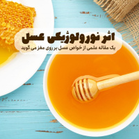 یک تحقیق علمی معتبر: عسل تاثیرات نورولوژیکی دارد