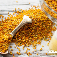 راز تنوع رنگ گرده گل