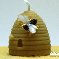 چقدر در مورد شمع موم زنبور عسل اطلاع دارید؟