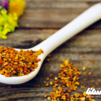 گرده گل چیست و چگونه تولید می شود؟