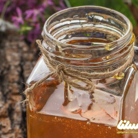 افزایش چشمگیر تولید عسل در خراسان رضوی