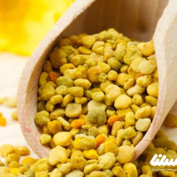 با گرده گل به جنگ آنفولانزا بروید