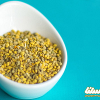 با گرده گل این 5 معجون پرخاصیت را تهیه کنید