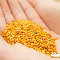 نقش گرده گل برای تقویت قوای جنسی واقعیت دارد؟