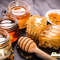 چرا میزان صادرات عسل از اردبیل کم است؟